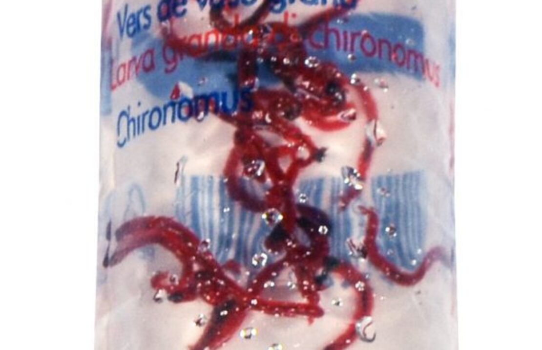 Red Mosquito (vers De Vase Rouge) L 100ml - Lv