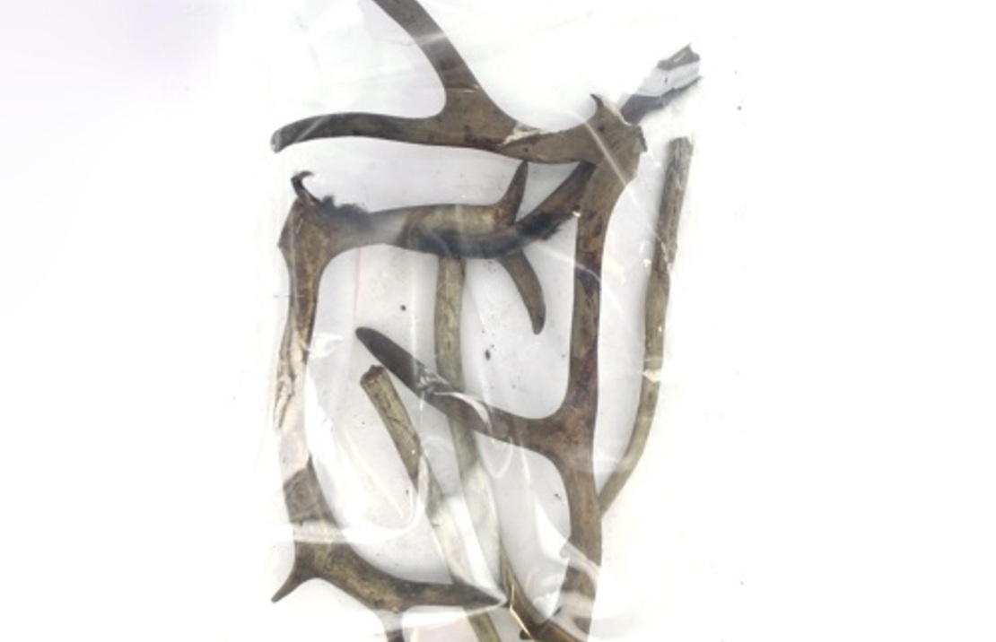 Deer Antlers 500g Advantage Suit