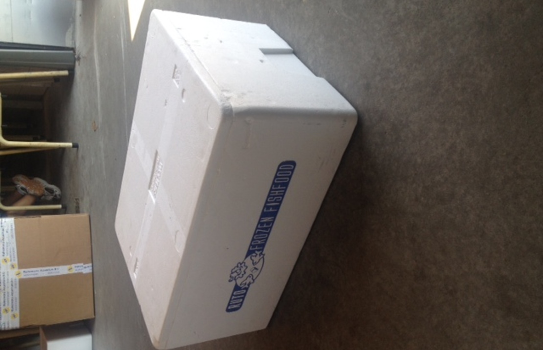 Polystyreen Box 10 Blisters Xs