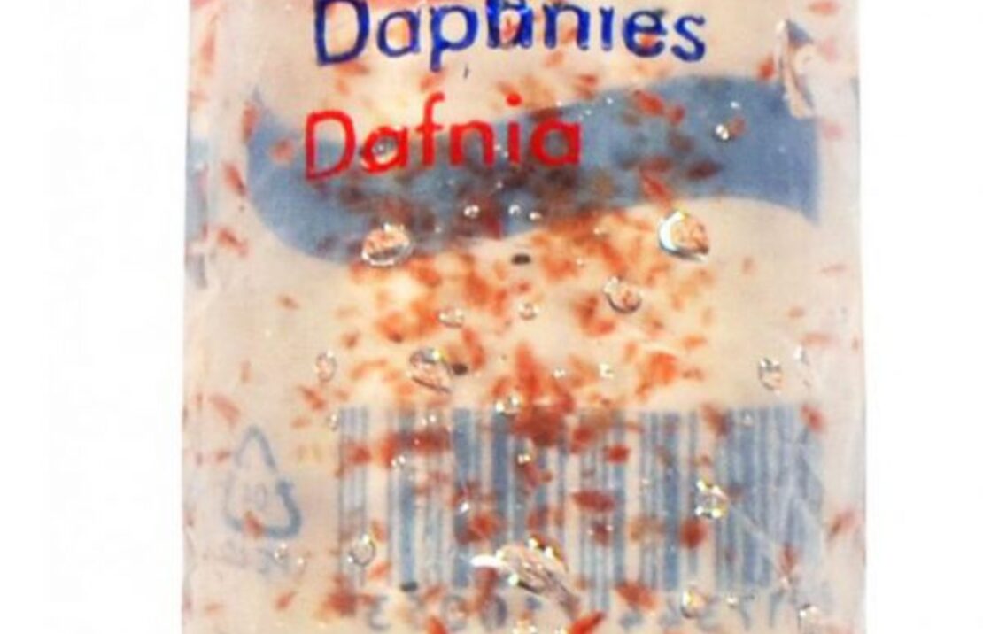 Daphnia 100ml - Lv