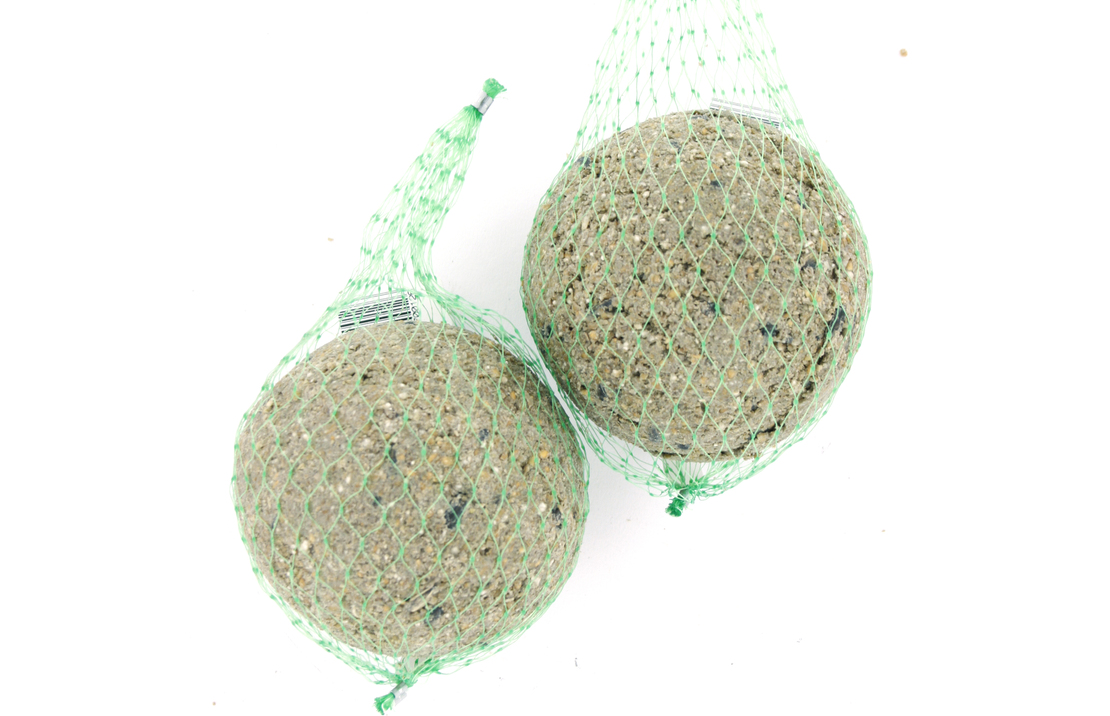 18 Reuze Mezenbollen Met Meelwormen