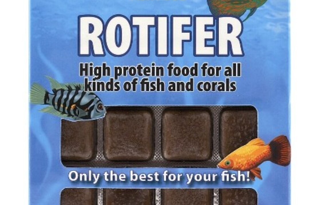 Rotifer Blister 100 Gram