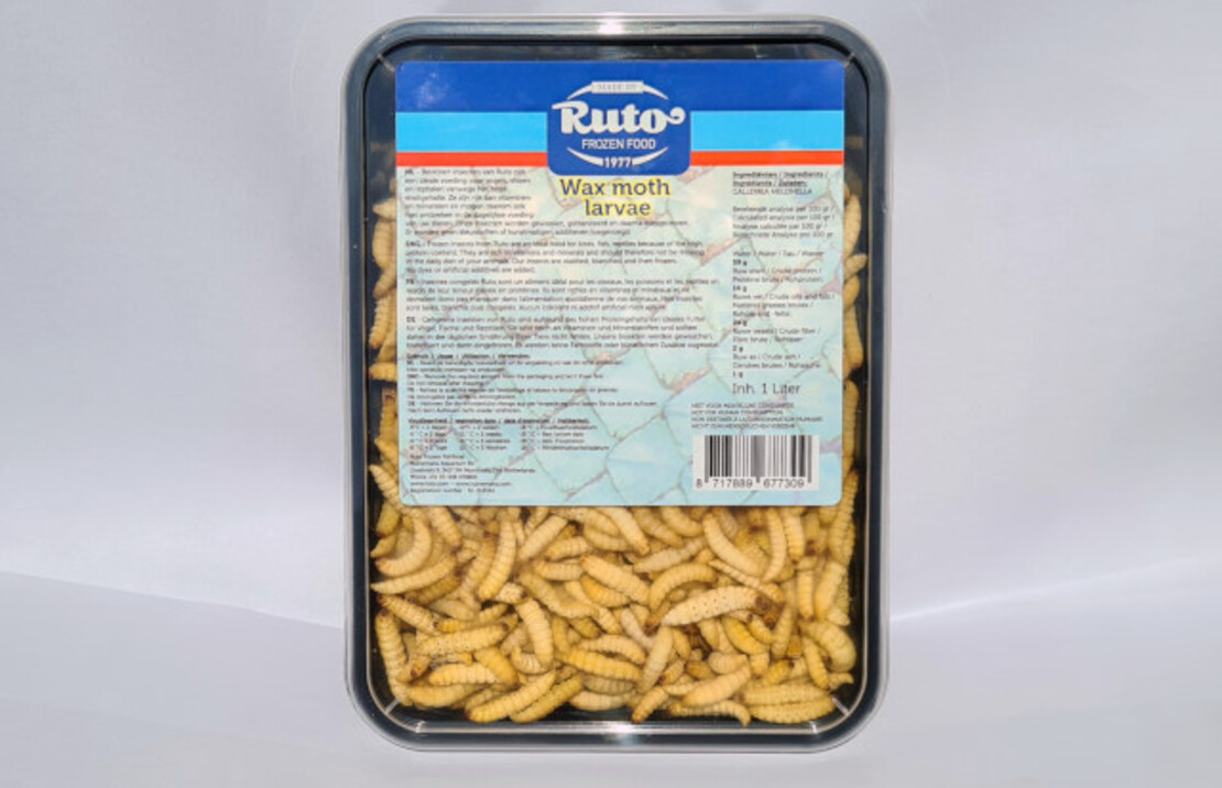 Wasmotlarven 1 Liter