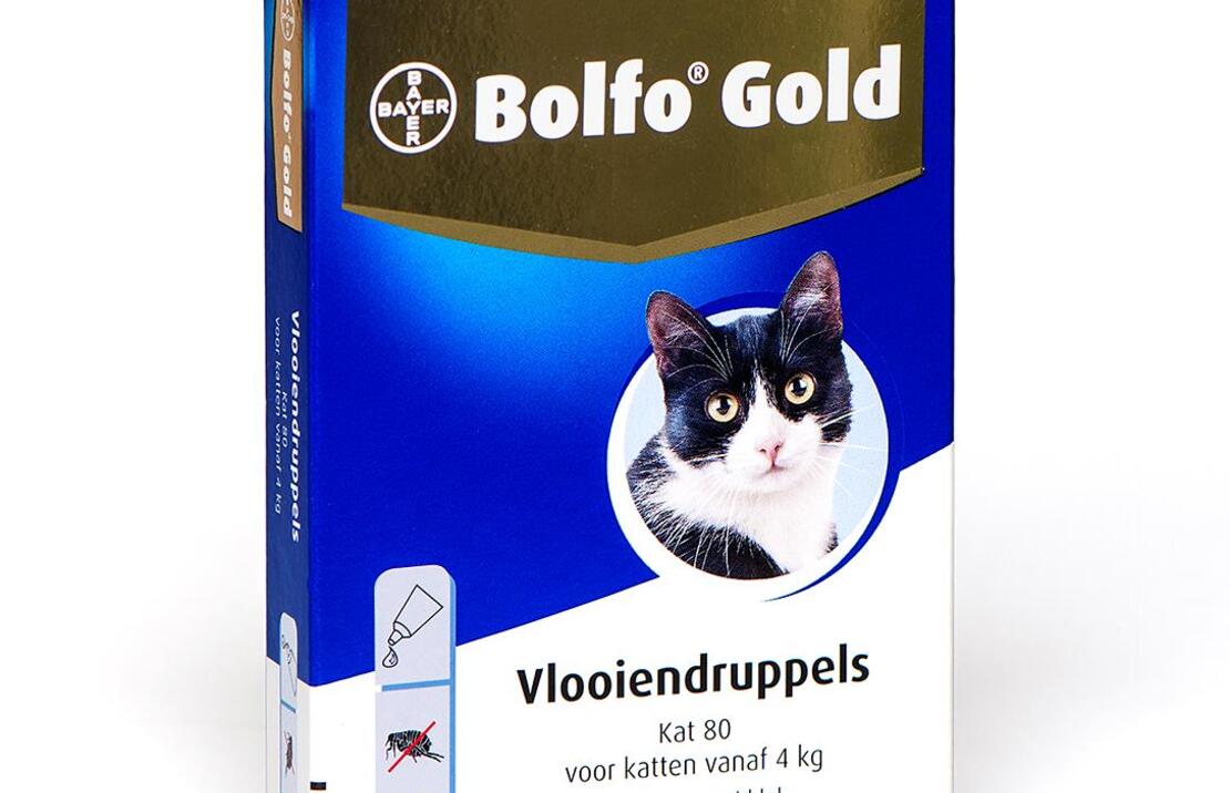 Bolfo Gold Kat 80 2pip