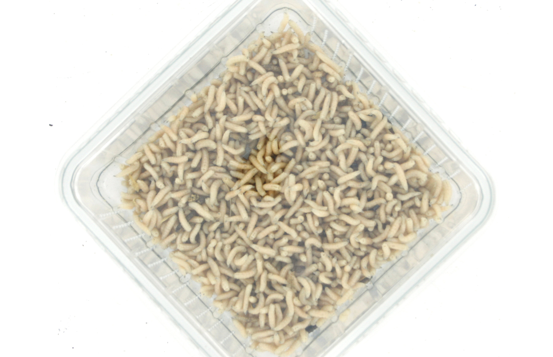 Minimaden (halve Liter)