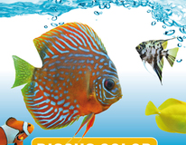 Degen Profi Menu Blister 2 X 100 Gr.