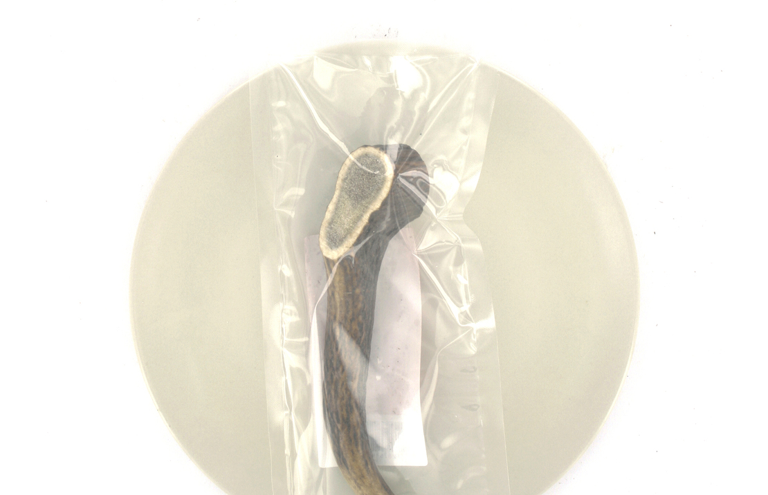 Deer Antler M (76-150g) 1st