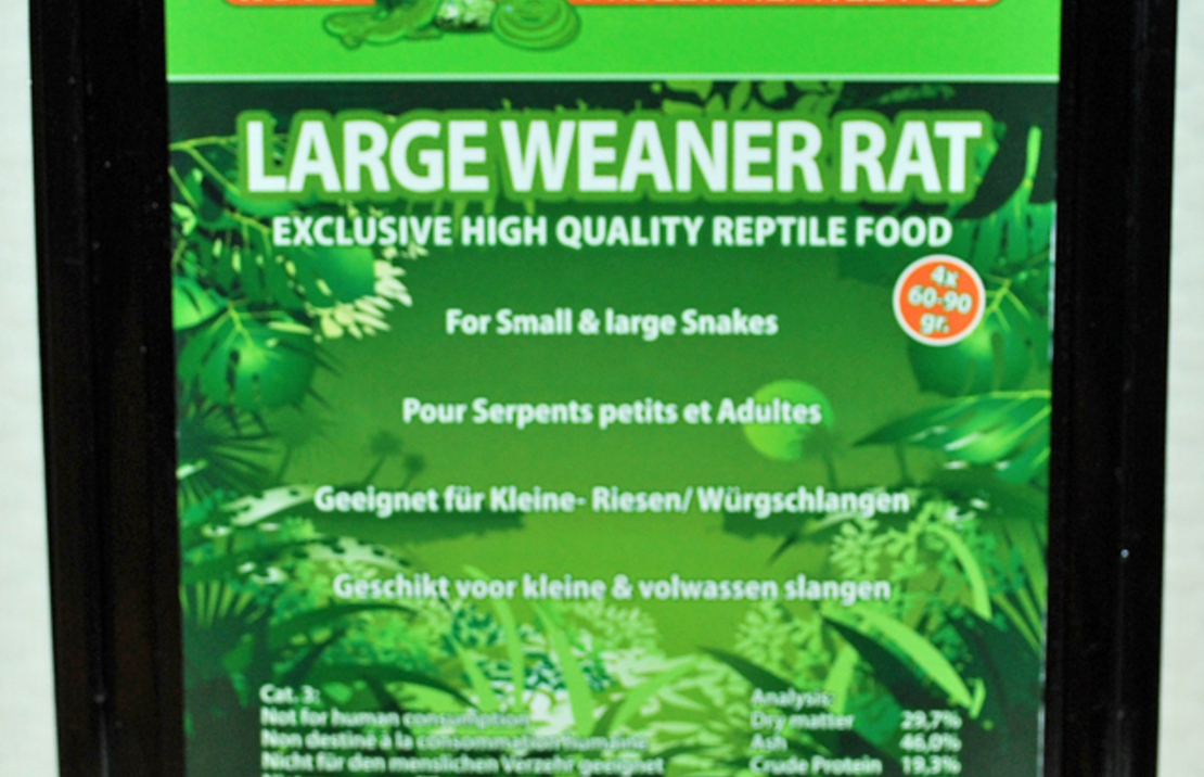 Large Weanerrat 60-90 Gr. X 4