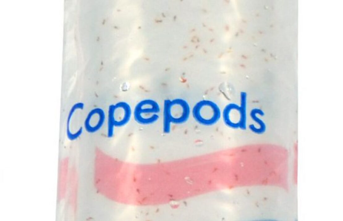 Copepods 100ml - Lv