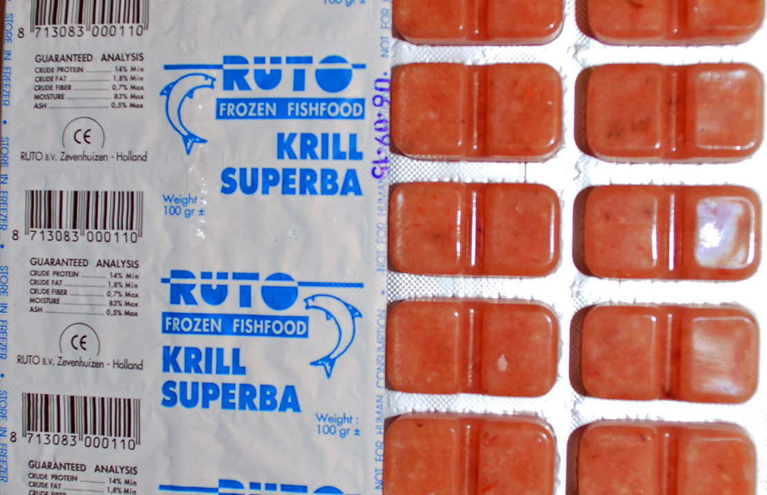 Krill Superba 100 Gr Blister