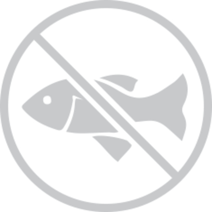 Anubias Barteri Var. Glabra - In Vitro Cup