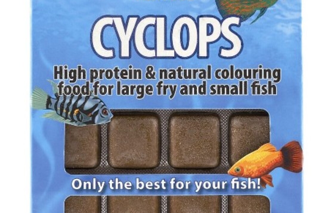 Cyclops Blister 100 Gr.