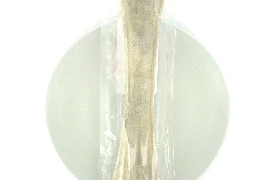 Pressed Bone 12,5 Inch (31cm) 1pce