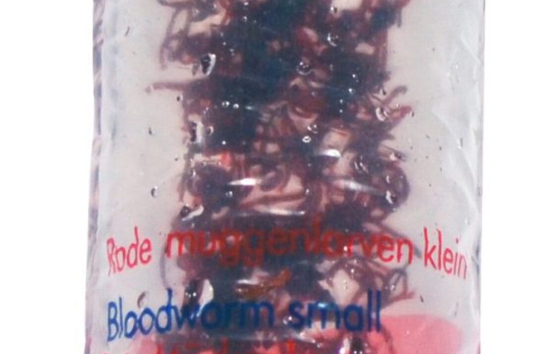 Red Mosquito (blood Worm) S 100ml - Lv