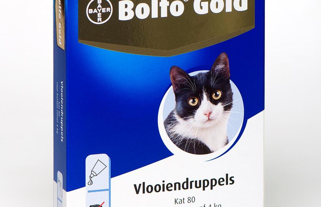 Bolfo Gold Kat 80 4pip