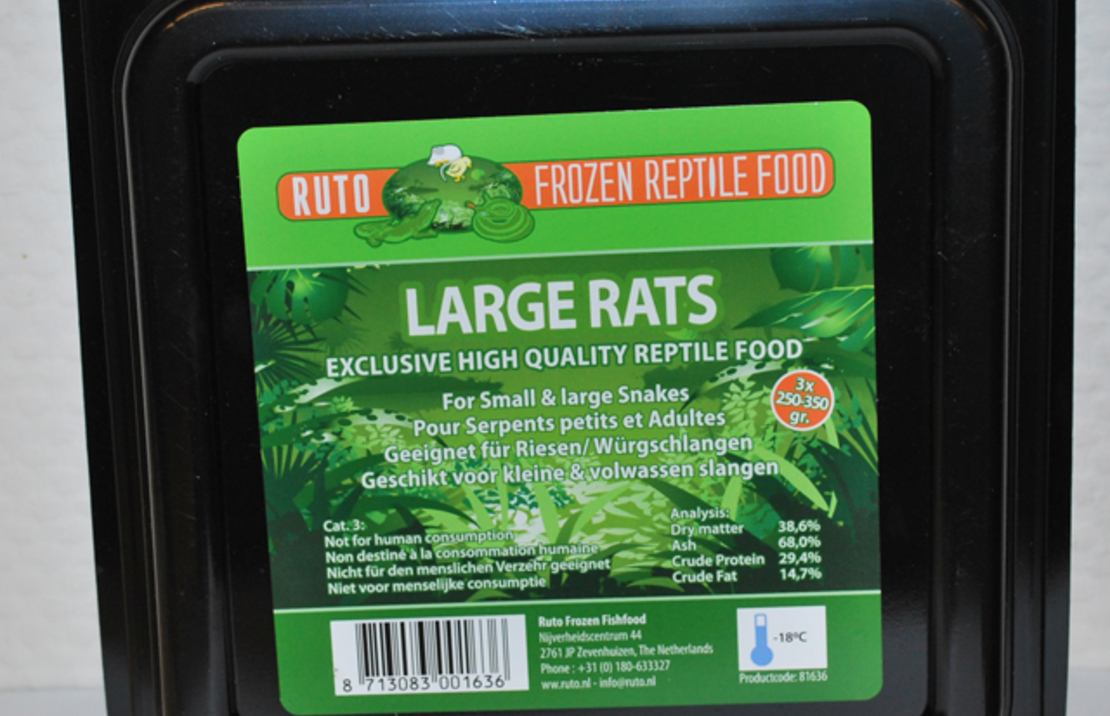Large Rat 250-350 Gr. X 3