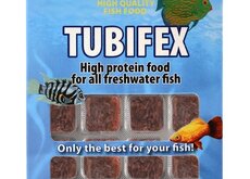 Tubifex