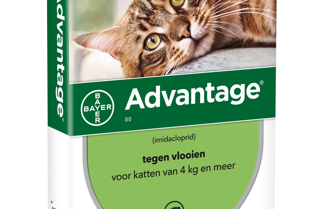 Advantage Kat 80 (à Partir De 4kg)