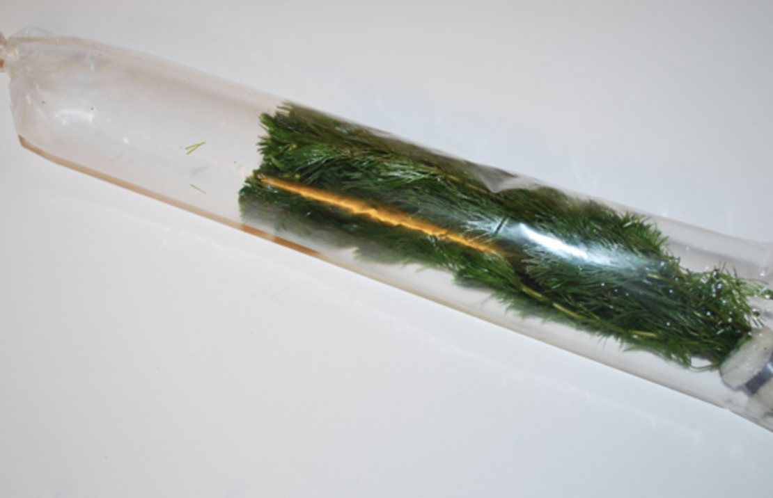 Doos Plantenbundel Zakjes 500 St 10x45