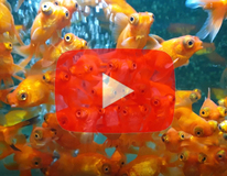 Fantail Telescope Red