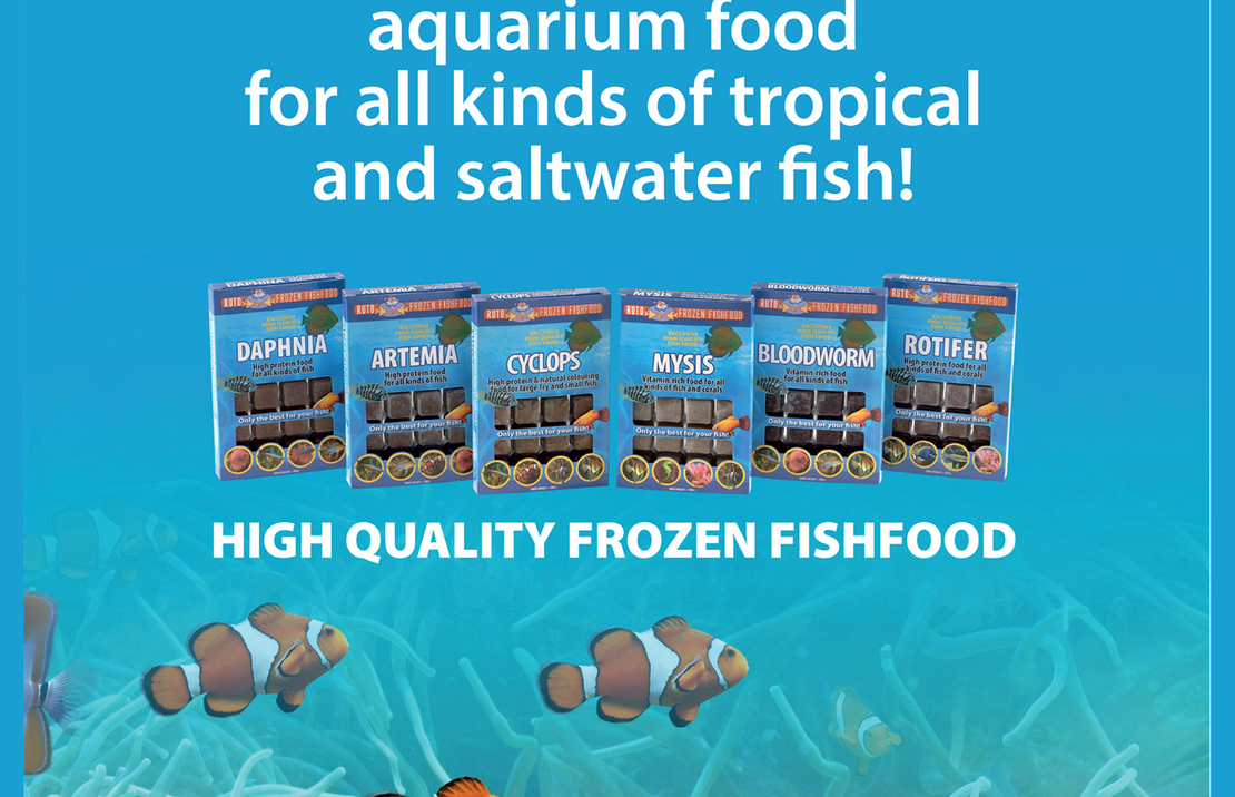 Ruto A5-flyer- 50 St. Nederlands S