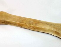 Pressed Bone 8,5 Inch (21cm) 240g 1pce.