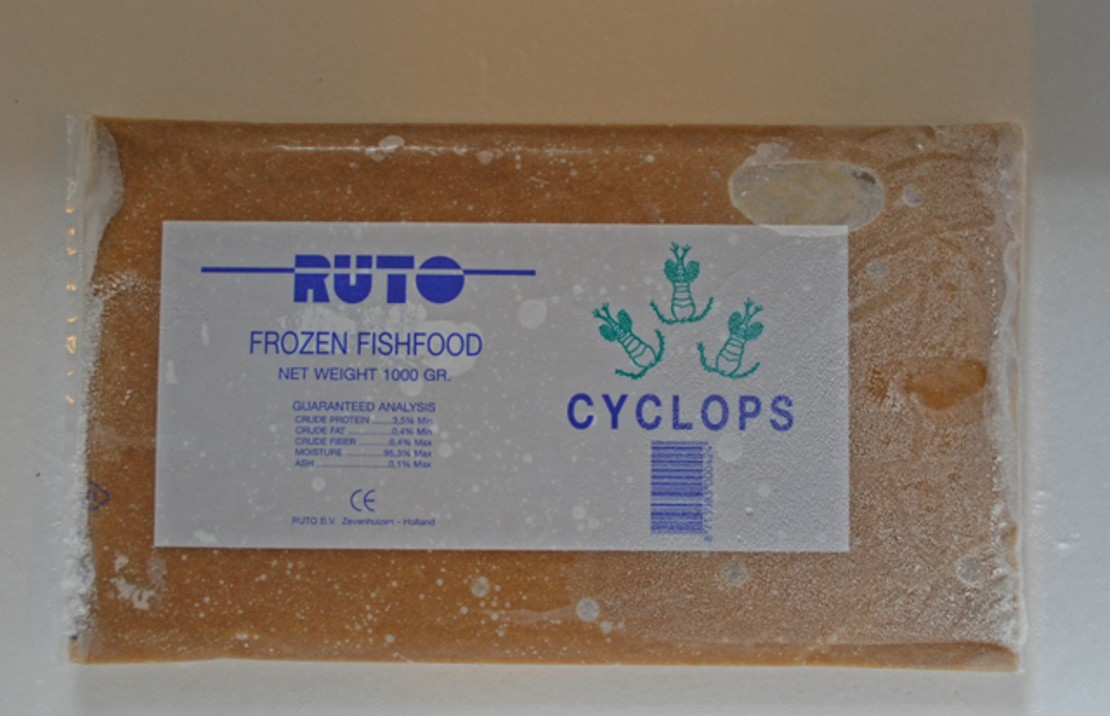 Cyclops 1000 Gr. Flatpack