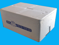 Polystyreen Box 10 Blisters Xs