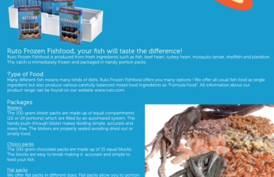 Ruto Poster (size A1) S/m