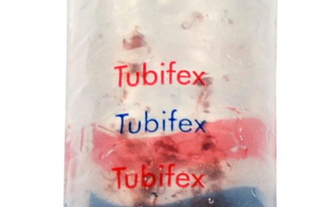 Tubifex 100ml - Lv