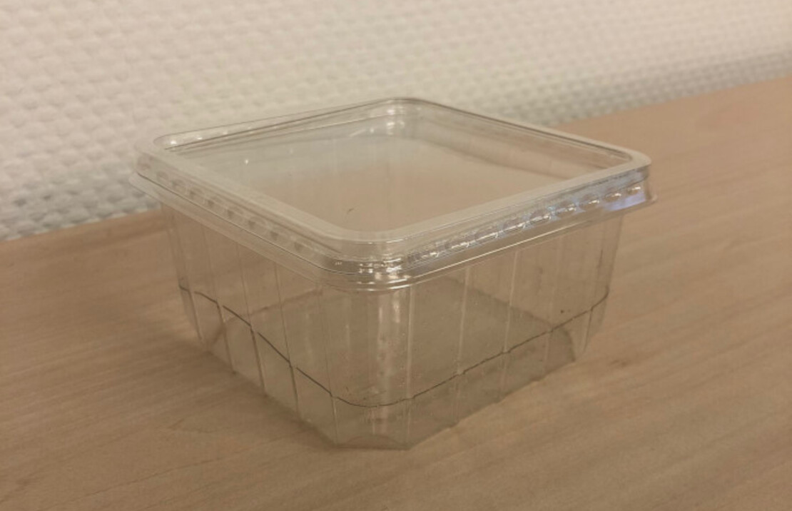 Perforated Insect Box/lid 50 Pcs.