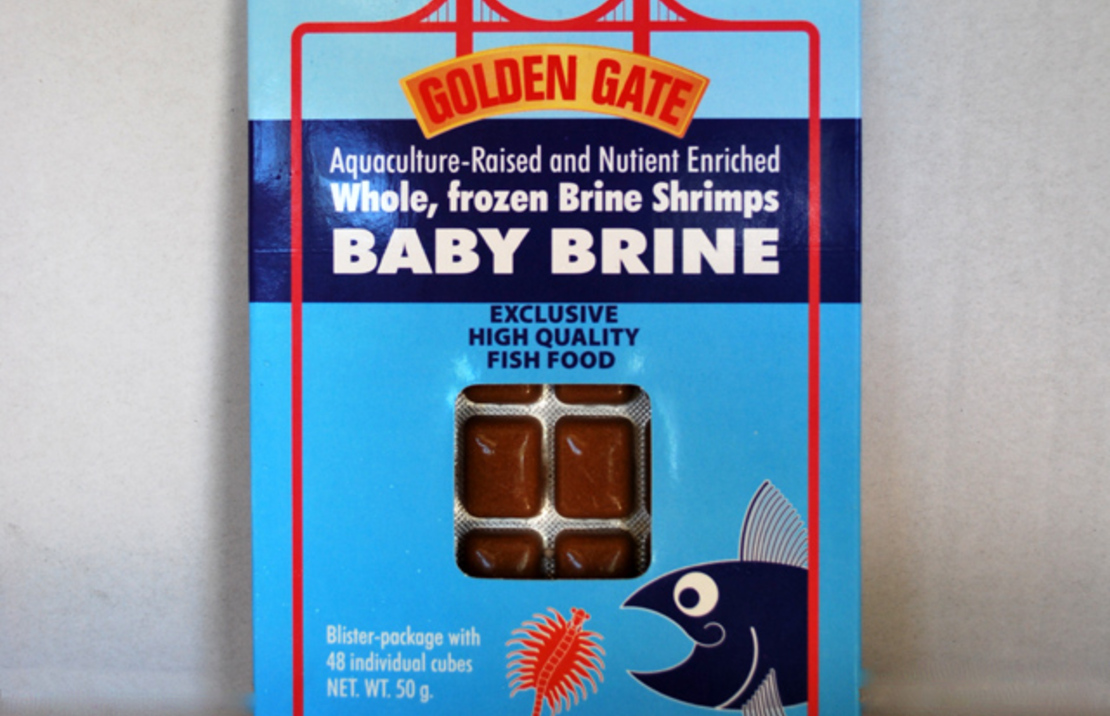 Artemia Golden Gate Baby Blister 50 Gr.