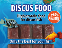 Discusfood 30% Artemia Blister 100 Gr.